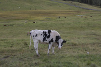 /album/foto-adriano/58a3758-copia-jpg/